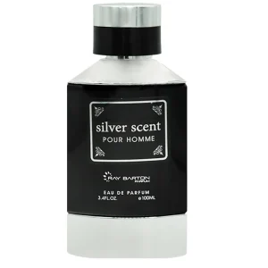 ادوپرفیوم مردانه ری بارتون مدل SILVER SCENT